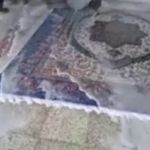 قالیشویی مجاز ضامن