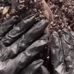 آرایشگاه زنانه و سالن زیبایی سپیده