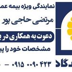 بیمه پاسارگاد(نمایندگی حاجی پور)