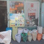 مرغ خسرو