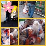 خیریه پرواز قاصدکها