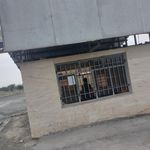 باسکول سازی جدیکار توزین نعیمیان 