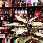 گالری آرایشی قیچی