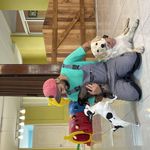 کلینیک دامپزشکی هفال