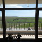 اقامتگاه بابونه