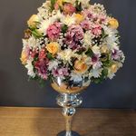 گل و گیاه بنیتا