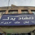 دلشاد یدک