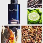 کلاسیک شهران