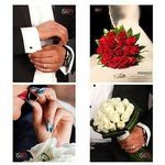 فتوگالری رایکا