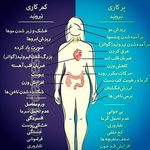 دکتر فاطمه عطایی کچویی