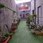 آکادمی پینگ پنگ وی تاپ