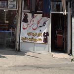 کلبه گل نرگس
