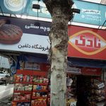 فروشگاه دلفین