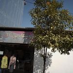 کلبه گل نرگس