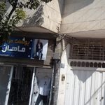 کلبه گل نرگس