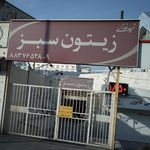 تهیه غذای زیتون سبز