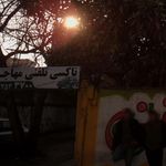 تاکسی تلفنی المپیک