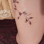 سولاریوم استایل