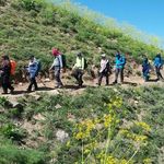 دره پیازچال