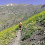 دره پیازچال