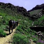 دره پیازچال