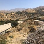 مرغداری گوشتی رزاب