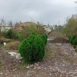 شهرک گلخانه ای کیشستان