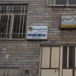 گیاهان دارویی کاج