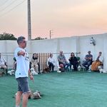 آموزش سگ تربیت سگ
