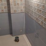 مرتضی شفاعتی