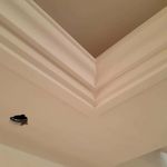 مرتضی شفاعتی