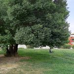 پارک اسباب بازی دواتاقه