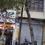 پیرایش محمدی