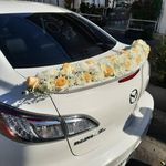 گل فروشی کوهسار
