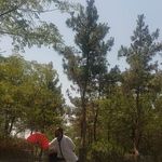 آموزش هنر رزمی تایچی وچی کونگ