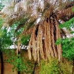 مهمانپذیر خلیج فارس