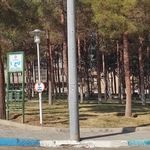 فضای سبز