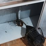 لوله بازکنی مرتضی