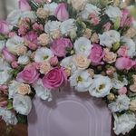امید محمدی