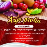 پروتئین آریو