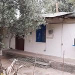 سوئیت اجاره ای