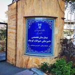 دانشگاه آزاد اسلامی