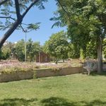 پارک هنرمندان
