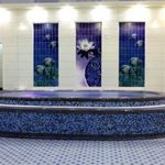 استخر دانشگاه آزاد قزوین