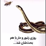 روانشناس فریبا طالبی همت شعبه قلهک