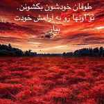 روانشناس فریبا طالبی همت شعبه قلهک