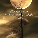 روانشناس فریبا طالبی همت شعبه قلهک