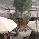 خیمه آریا