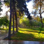 باغ نظر
