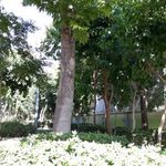 بوستان زیبا